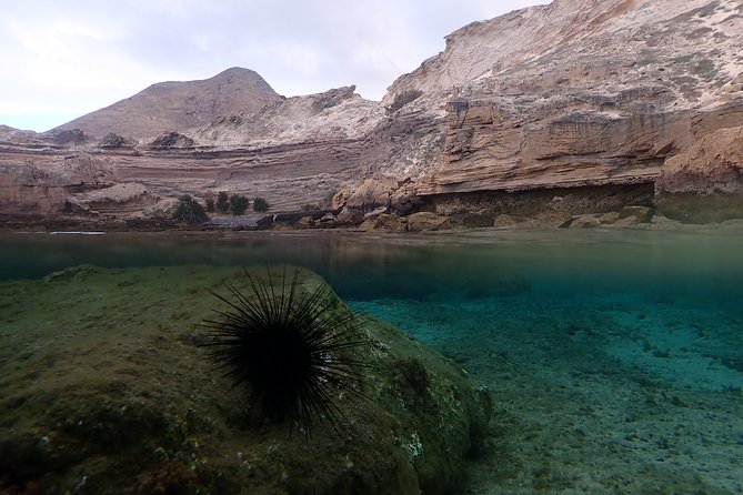 Snorkeling Tour - Price and Value: Does $59.28 Make Sense for What You Get?