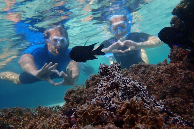 Snorkeling Tour - Weather Matters More Than You Think