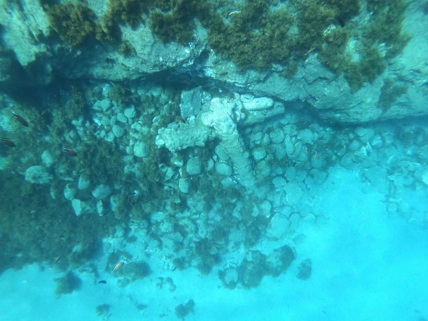 Snorkeling Tour- Vila Franca do Campo Islet - Who This Tour Suits Best (And Who Should Skip It)