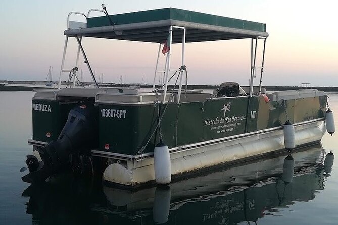Sunset Tour | Ria Formosa - From Faro - Small group comfort: why 12 passengers matters at sunset