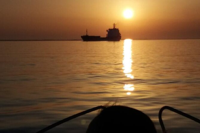 Sunset Tour | Ria Formosa - From Faro - Marshes, tide timing, and spotting birds without losing the sunset