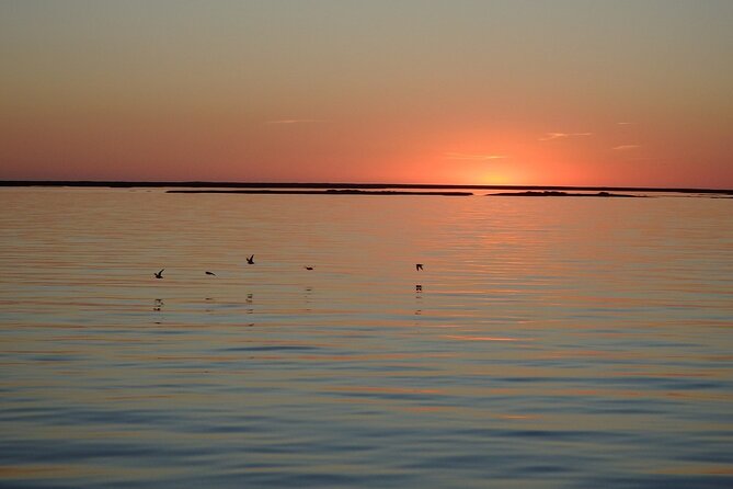 Sunset Tour | Ria Formosa - From Faro - What to do with the sunset moment, plus smart photo tips