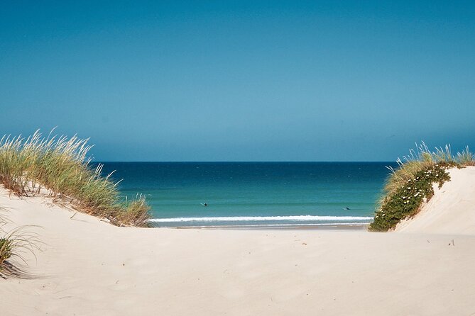 Surf Courses In Peniche and Baleal Portugal - Key points before you go