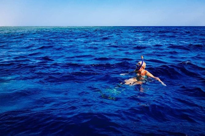 Swim with Wild Dolphins in the Azores - Meeting at Picos de Aventura, and how to get ready fast