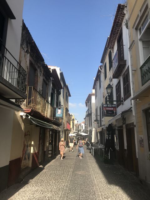 Taste Funchal: food, wine and cultural tour - Who this tour suits best in Madeira, and who should reconsider