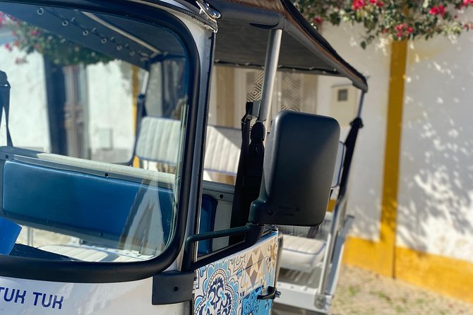 Tavira City Tuk Tuk Tour - 1h Tavira City Tour - Salinas de Tavira, why the salt flats stop is more than a photo op