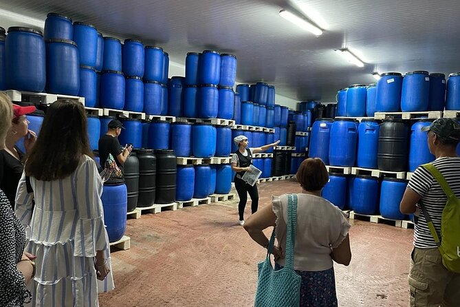 Tavira Olive Experience Factory Tour and Tasting - Salt, Pits, and Texture, the Stuff You Usually Skip
