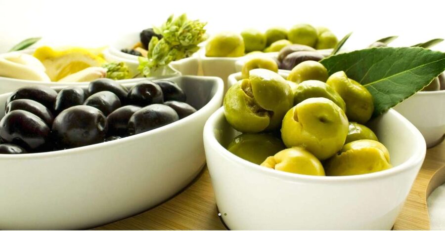 Tavira: Olive Factory Tour and Tasting - What You Actually Learn When The Factory Machines Are Idle