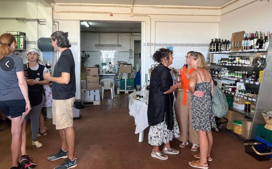 Tavira: Olive Factory Tour and Tasting - The Guided Factory Walk: From Olives to Eating-Ready Flavor