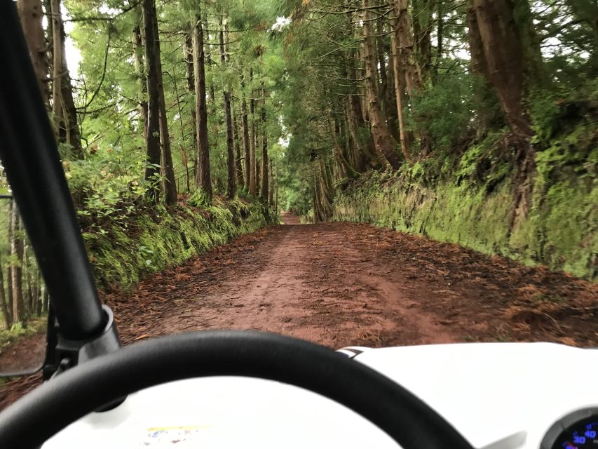 Terceira: Buggy Tour 4x4 West Side Azores Retreat - The west side of Terceira: why this route beats the normal road loop