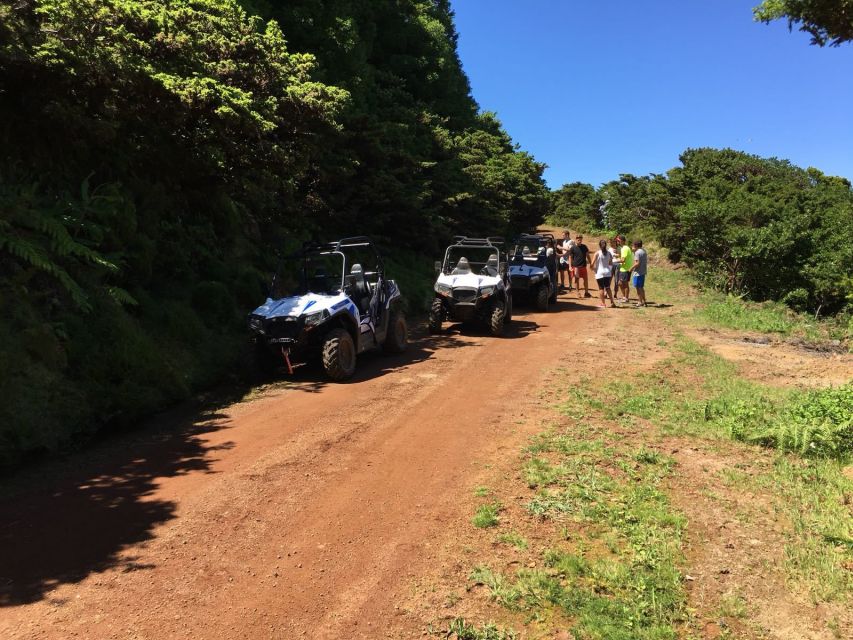 Terceira: Buggy Tour 4x4 West Side Azores Retreat - Guides who actually help you drive, not just lead the way