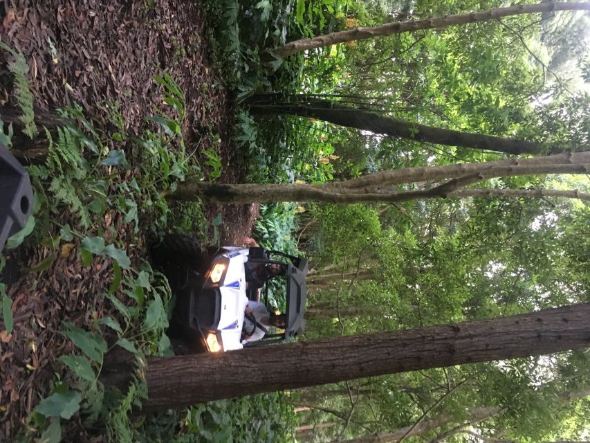 Terceira: Buggy Tour 4x4 West Side Azores Retreat - Your UTV setup: automatic driving, safety gear, and easy turn-taking