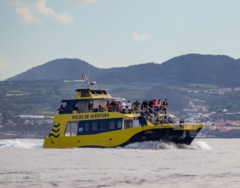 Terceira: Half-Day Dolphin and Whale Watching Tour - The coastline bonus: geology views and a possible stop at Ilhéu das Cabras
