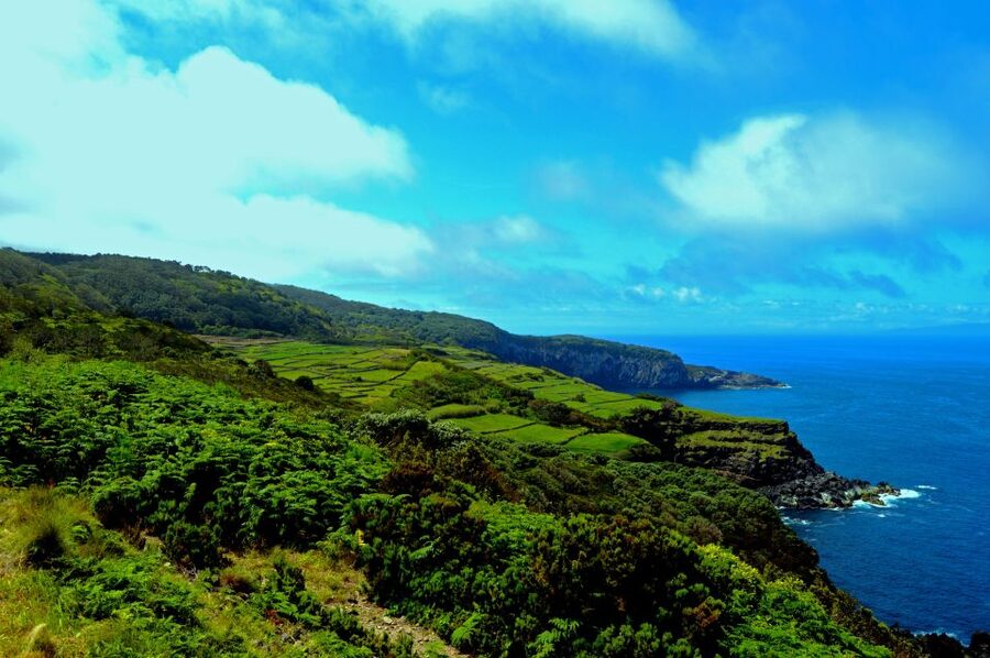 Terceira: Half-Day Island Tour with Cheese Tasting - Door-to-door pickup at 9h00 to 9h15, then off you go