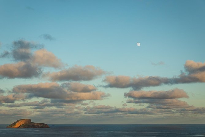 Terceira Island: Full Day Tour - Biscoitos Natural Pools, Wine Country, and That Beach-Day Energy