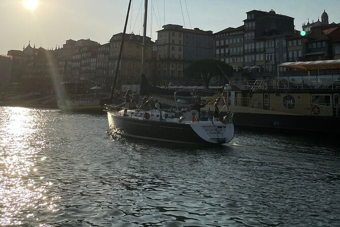 The Best Douro Boat Tour - The Small-Group Advantage: Why It Feels Like More Than a Standard Sightseeing Trip