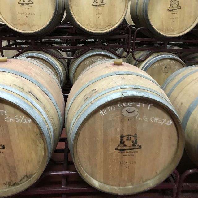 The Real Algarve: 2 Boutique Wineries & Silves Tour - A 7-hour Algarve wine day that feels like you have time