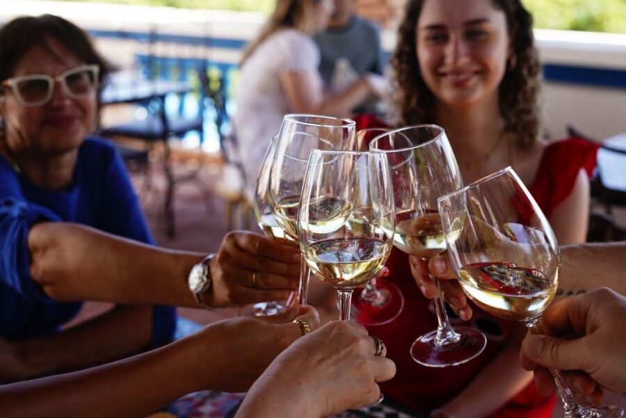 The Real Algarve: 2 Boutique Wineries & Silves Tour - Silves break time: medieval streets, castle views, and lunch at your pace