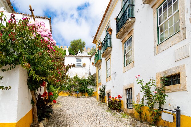 Three Cities in One Day: Porto, Nazare and Obidos from Lisbon - The long drive home: how to make bus hours feel shorter