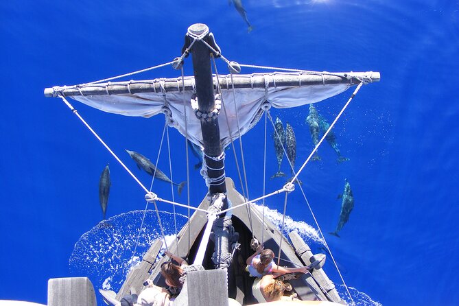 Time Travel on Columbus Replica Flag Ship in Madeira - How the cetacean spotting works on this route, and what to do on deck