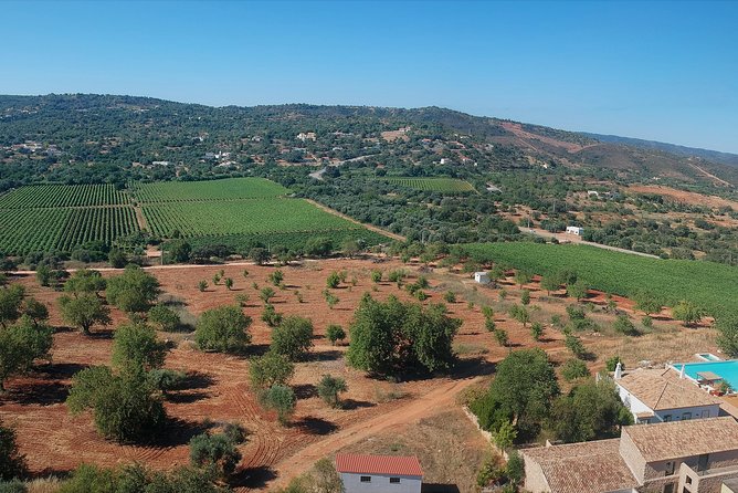 Tour & Wine tasting - Authentic Algarve Flavours by Quinta da Tôr - Entering the Quinta: what your 1.5 hours looks like