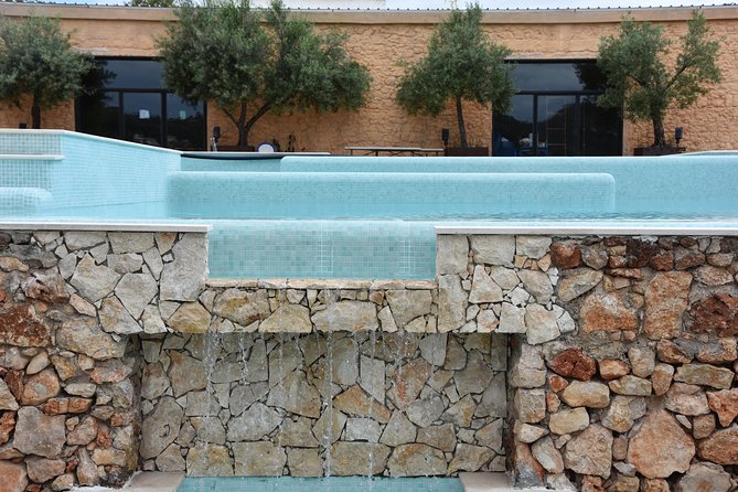 Tour & Wine tasting - Authentic Algarve Flavours by Quinta da Tôr - Stop One at Quinta da Tôr: the farm tour part, and what you may miss