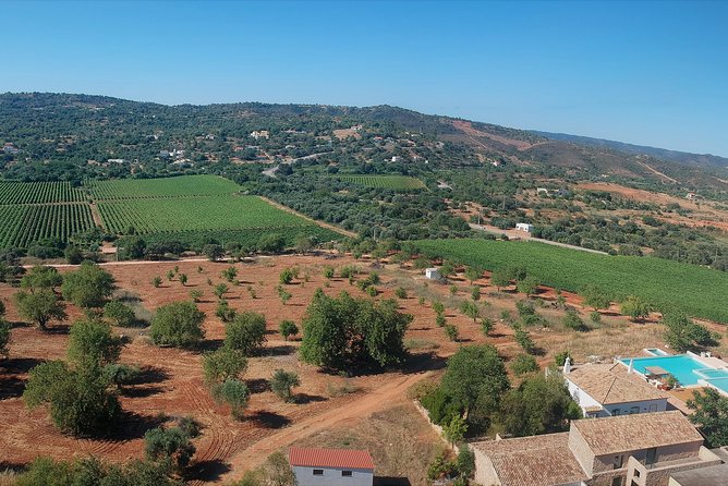 Tour & Wine tasting - Authentic Algarve Flavours by Quinta da Tôr - Guide energy: why this feels fun, not stiff