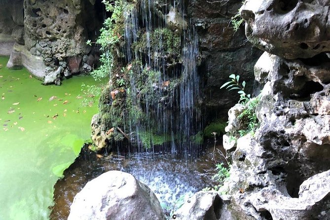Tours and Transfers - Parque e Palacio de Monserrate, palace plus gardens in 90 minutes