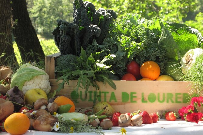 Traditional Cooking Class, Farm Tour & Lunch in the Douro Valley - Quinta de Louredo at 11:00: a half-day that feels like the real countryside