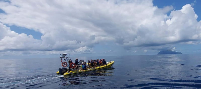 TRIP TO CORVO BY BOAT - Marine-life spotting, and how the crew makes it happen