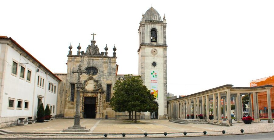 Tuk Tuk Tour in Aveiro - Ovos Moles taste test: the easiest local souvenir