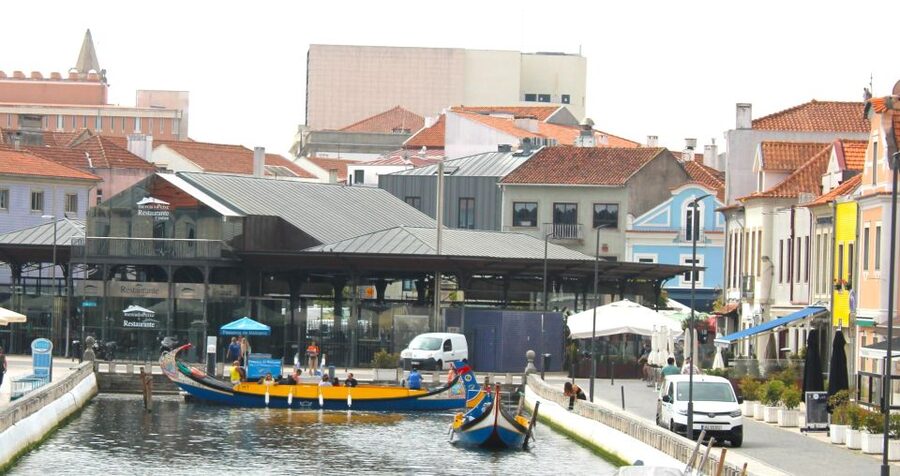 Tuk Tuk Tour in Aveiro - Dr. Joaquim de Melo Freitas Square, Republic Square, and the main landmarks