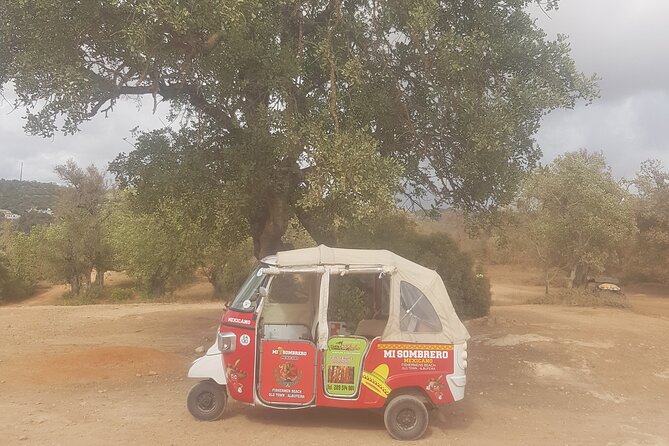 Tuk tuk tour- the best way to see coast and country side - Price and value for money: $144.82 per group up to 3