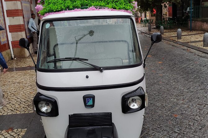 Tuk Tuk Transfer With Sintra Pena Ticket From Meeting Point - Should You Book This Sintra Tuk Tuk to Pena Ticket Transfer?