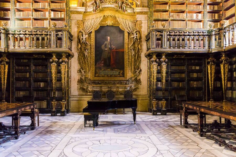 University of Coimbra Walking Tour - Key Highlights You’ll Actually Feel