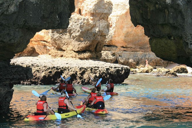 Unlock the Magic of Ponta da Piedade by Kayak – Lagos - Key takeaways before you go
