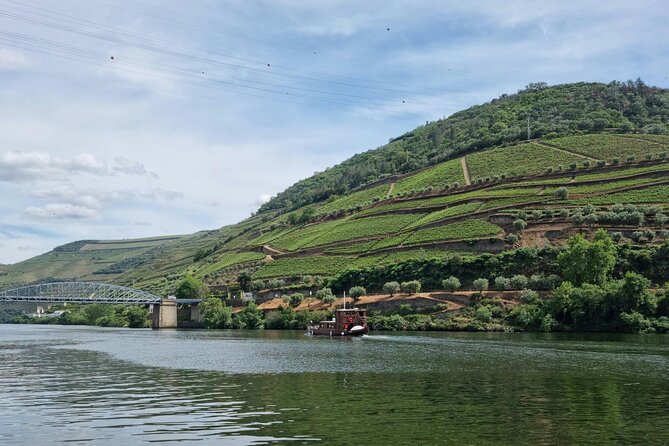 VALE DOURO, Premium Wine Tour, Wine Lunch, Private Boat - Lunch on a farm with wine pairings that actually feed you
