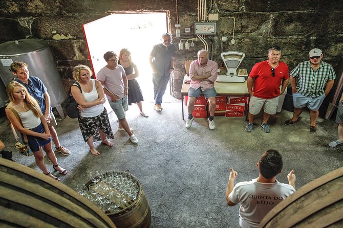 VALE DOURO, Premium Wine Tour, Wine Lunch, Private Boat - Value and cost: where the money actually goes