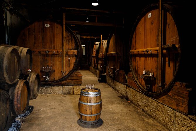 VALE DOURO, Premium Wine Tour, Wine Lunch, Private Boat - Who this tour suits best, and who should look elsewhere