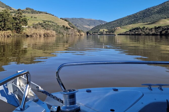 VALE DOURO, Premium Wine Tour, Wine Lunch, Private Boat - Porto pickup and the long scenic ride into Douro country