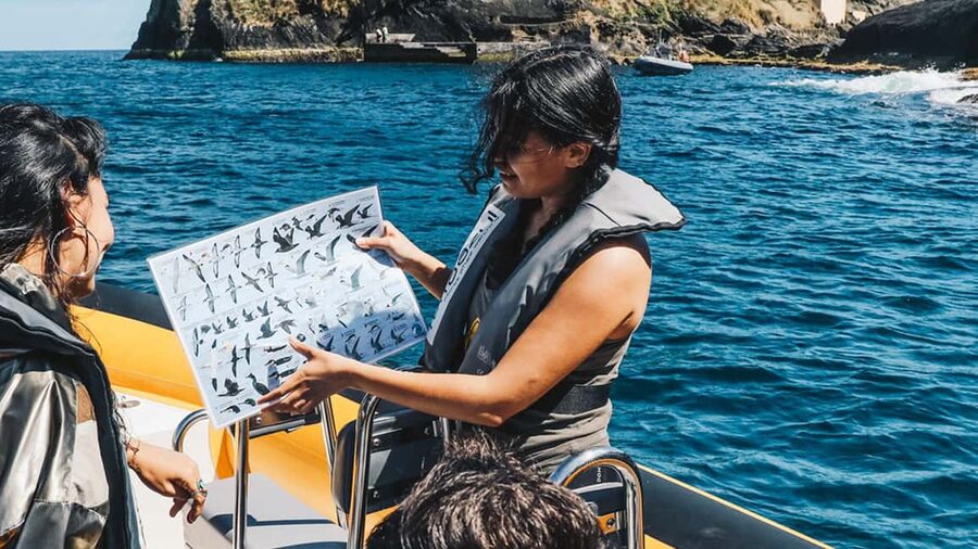 Vila Franca Islet: Around The Islet Guided Boat Tour - Key reasons to do this Vila Franca islet boat tour