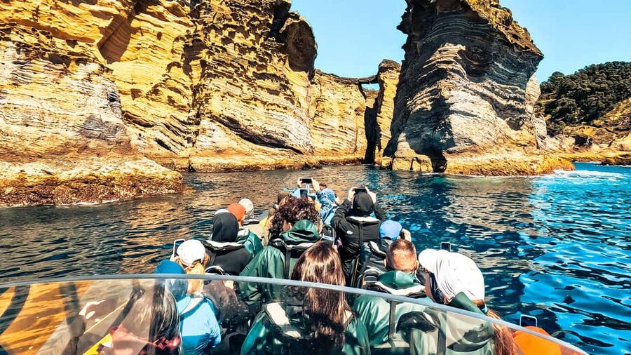 Vila Franca Islet: Around The Islet Guided Boat Tour - Where you meet: Azores Whale Watching TERRA AZUL and the Vila Franca marina