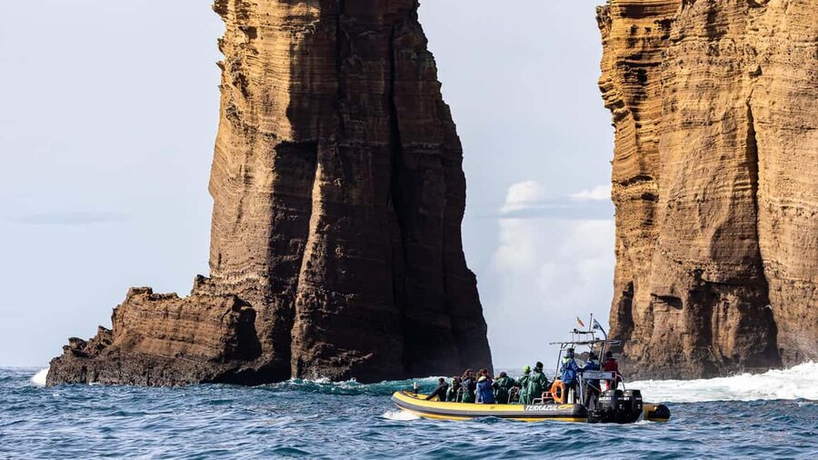Vila Franca Islet: Around The Islet Guided Boat Tour - Wildlife spotting in a marine sanctuary: birds, fish, and lightfoot crabs