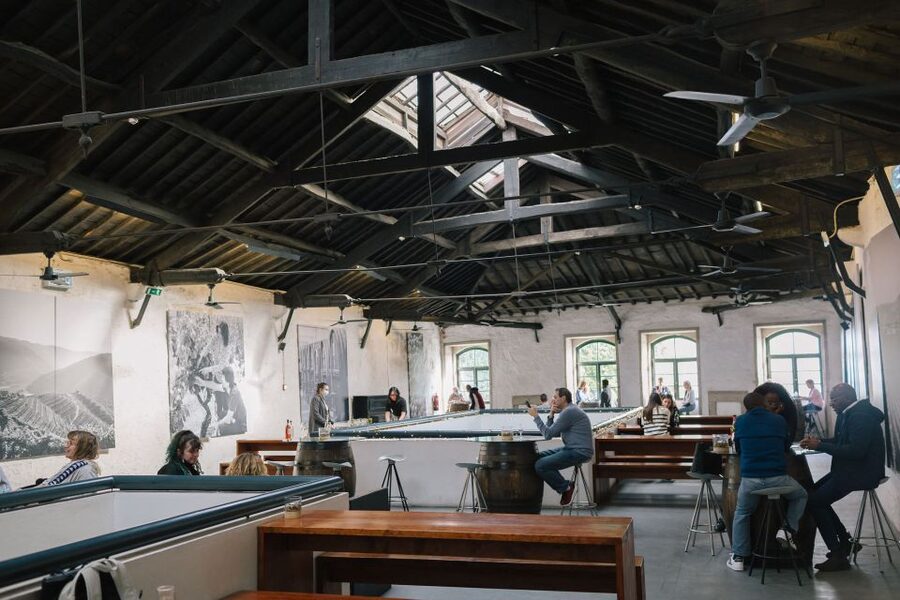 Vila Nova de Gaia: Port Wine Tasting with Cheese Pairing - FAQ