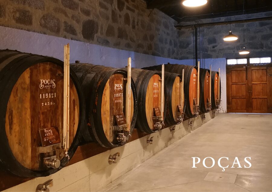 Vila Nova de Gaia: Winery Tour with 2 DOC Douro & 1 Port - Tasting DOC Douro wines: Trava Línguas white and Reserve Red