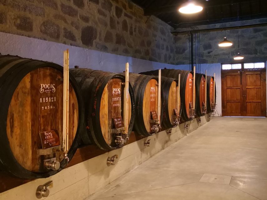 Vila Nova de Gaia: Winery Tour with 2 DOC Douro & 1 Port - What this tour is great for (and who should pass)