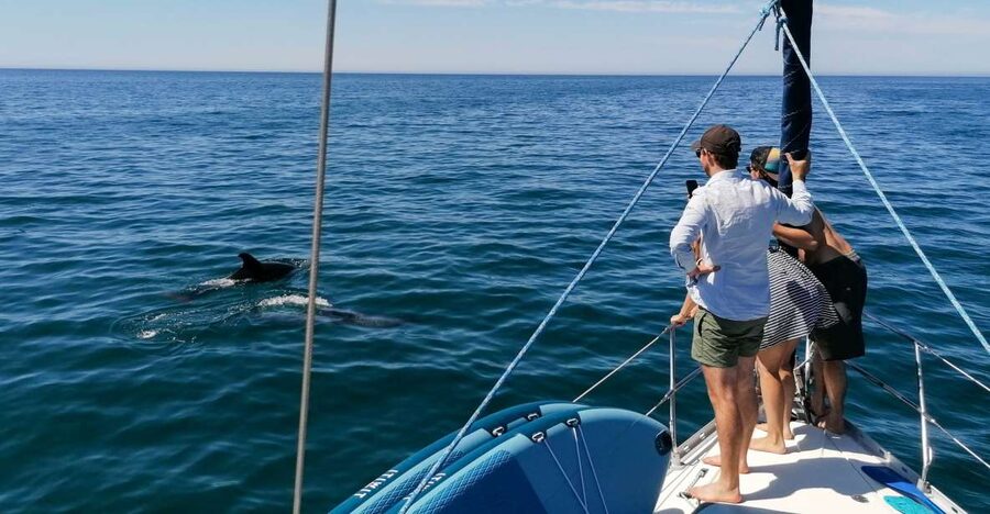 Vilamoura: Coastal Cruise on a Luxury Sailing Yacht - Key highlights you should care about