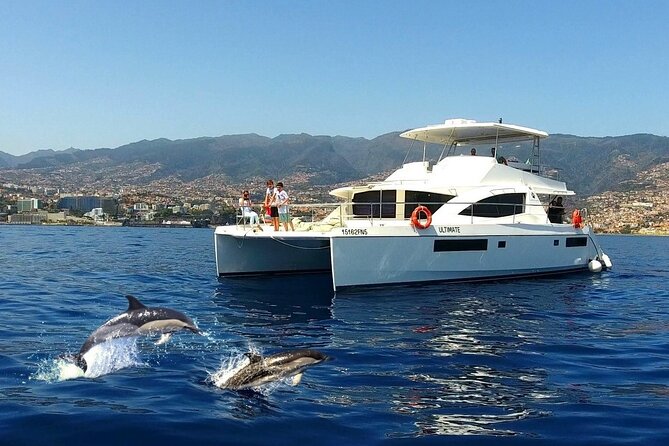 VipDolphins Luxury Whale Watching - Quick hits: what matters most