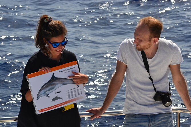 VipDolphins Luxury Whale Watching - A VIP-style whale watch that still feels easy to do