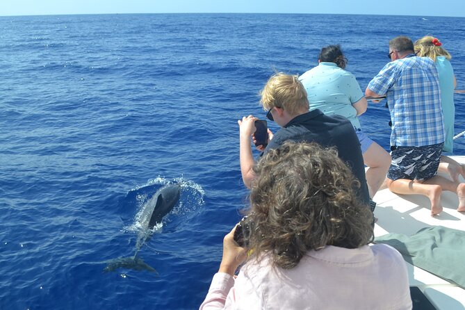 VipDolphins Luxury Whale Watching - Cabo Girao swim and snorkeling stop: the best reason to pick this tour